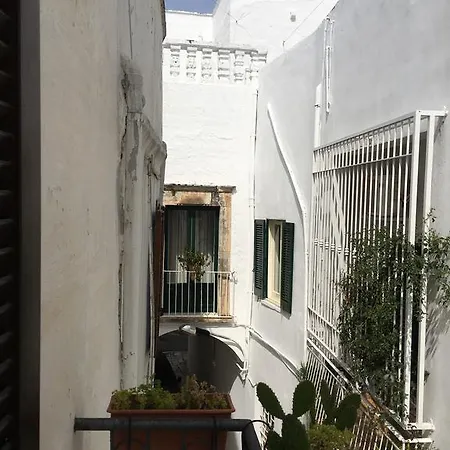 Appartement Under The Cherry Moon