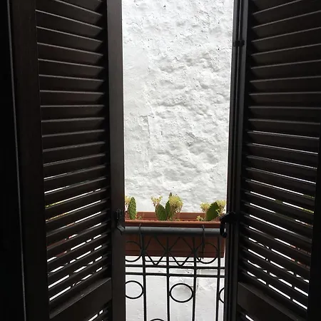 Under The Cherry Moon