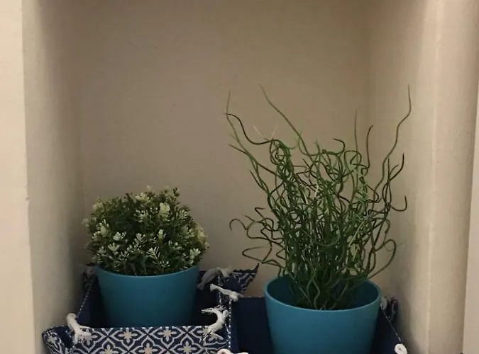 Under The Cherry Moon *